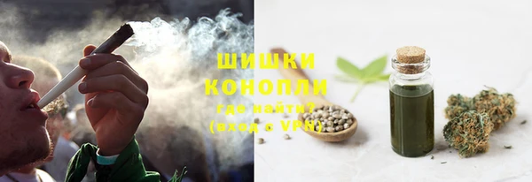 гашик Новокубанск
