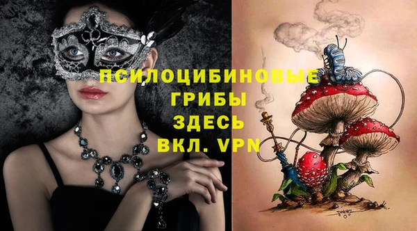 гашиш Новодвинск