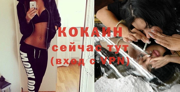 гашик Новокубанск