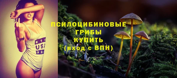 гашиш Новодвинск