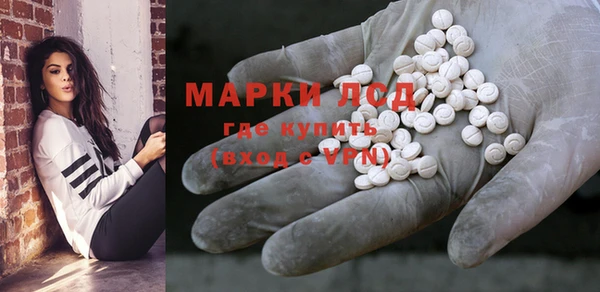 стаф Янаул