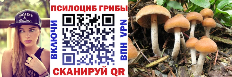 Псилоцибиновые грибы MAGIC MUSHROOMS  Власиха 